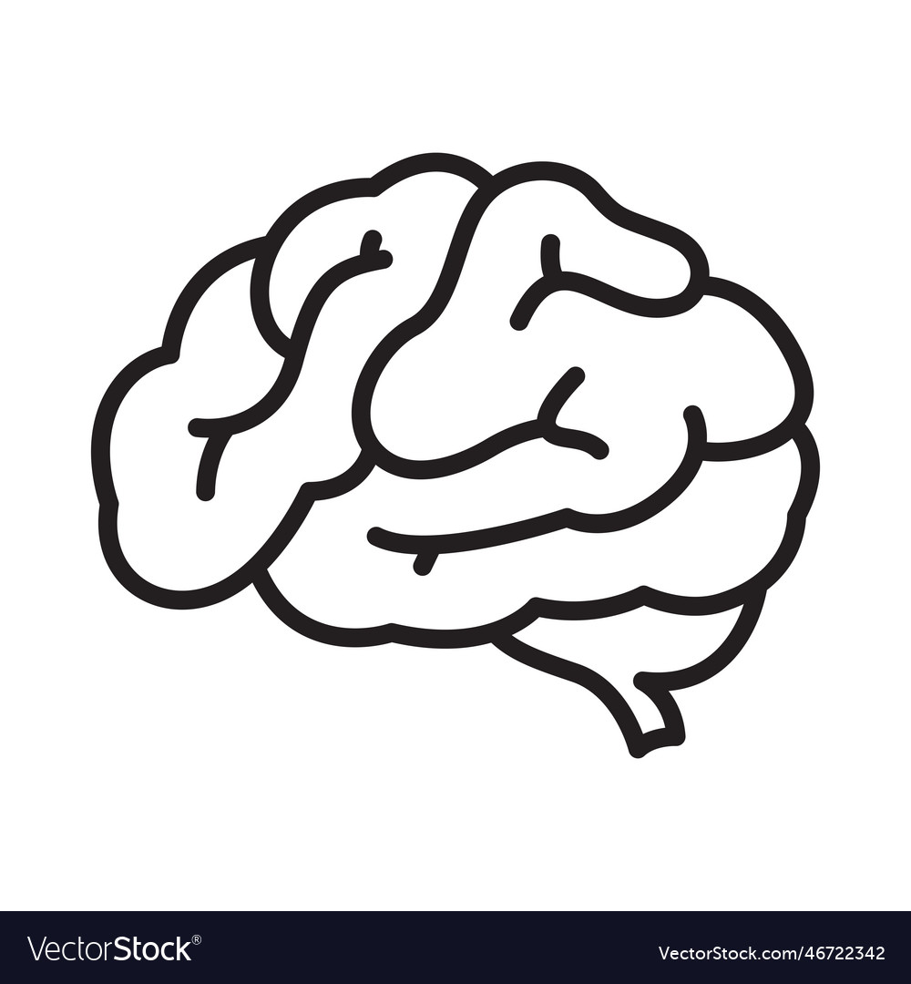 Human brain icon on white background Royalty Free Vector