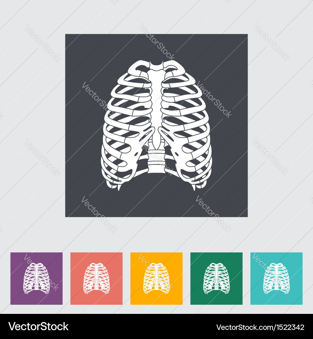 Human thorax Royalty Free Vector Image - VectorStock