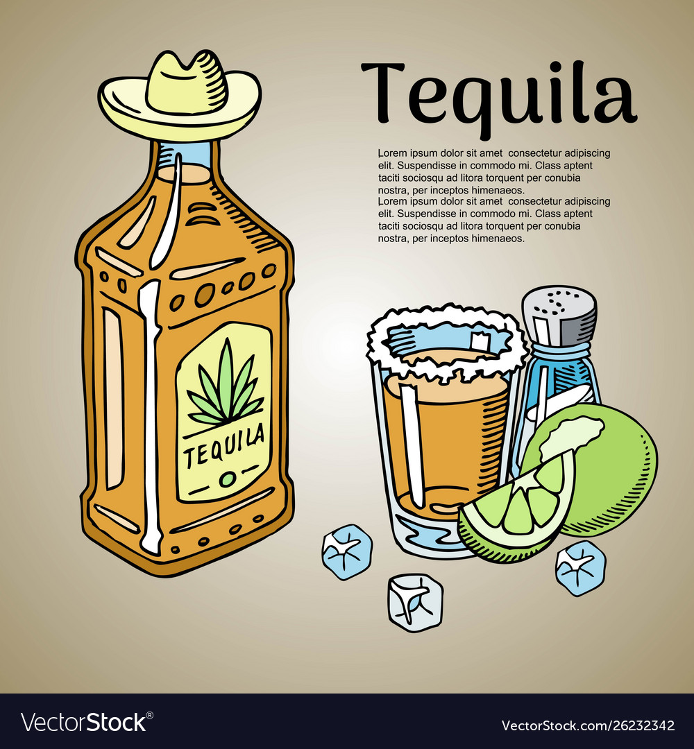 Tequila bar banner poster Royalty Free Vector Image