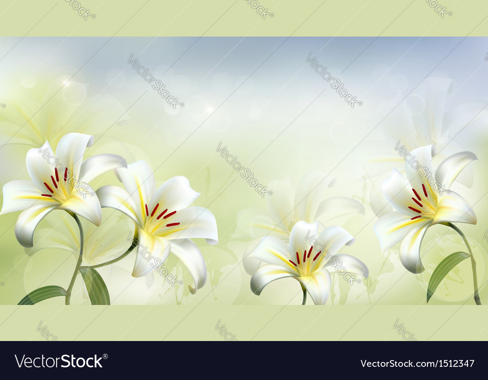 Holiday background with two white lilies