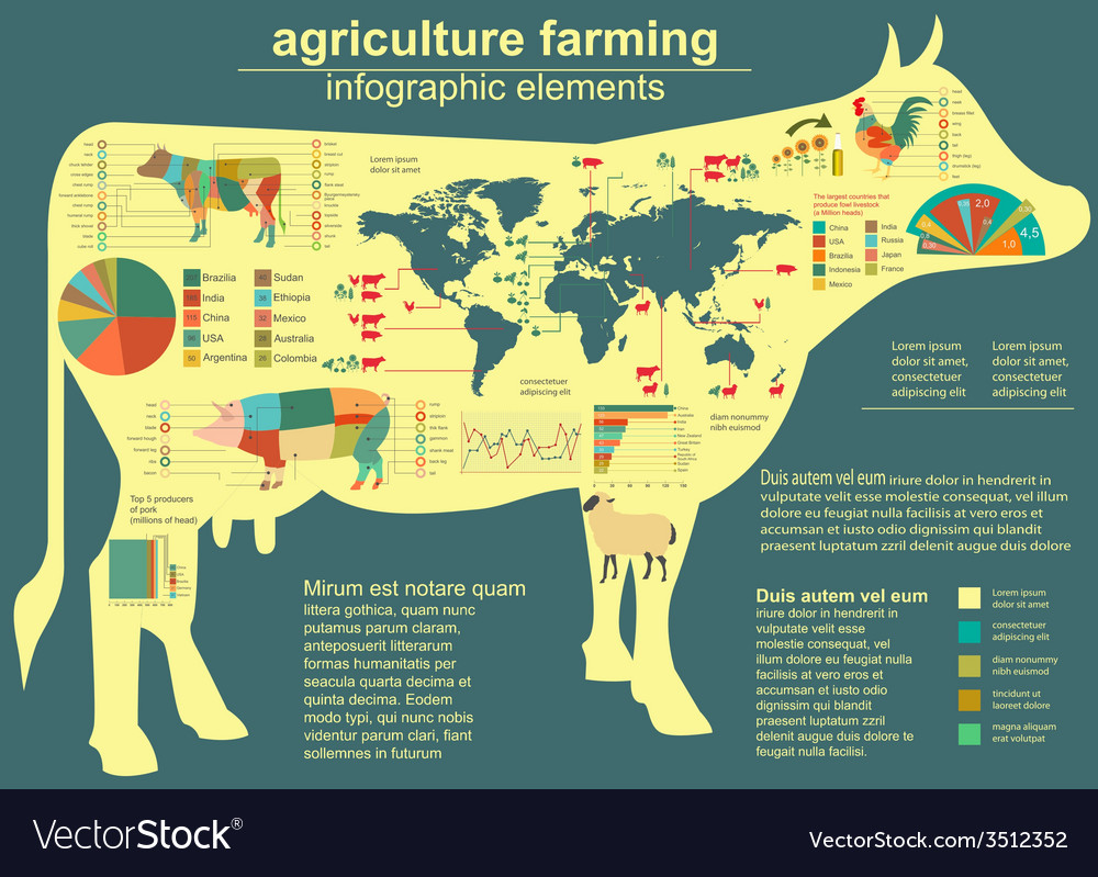 Agriculture animal husbandry infographics