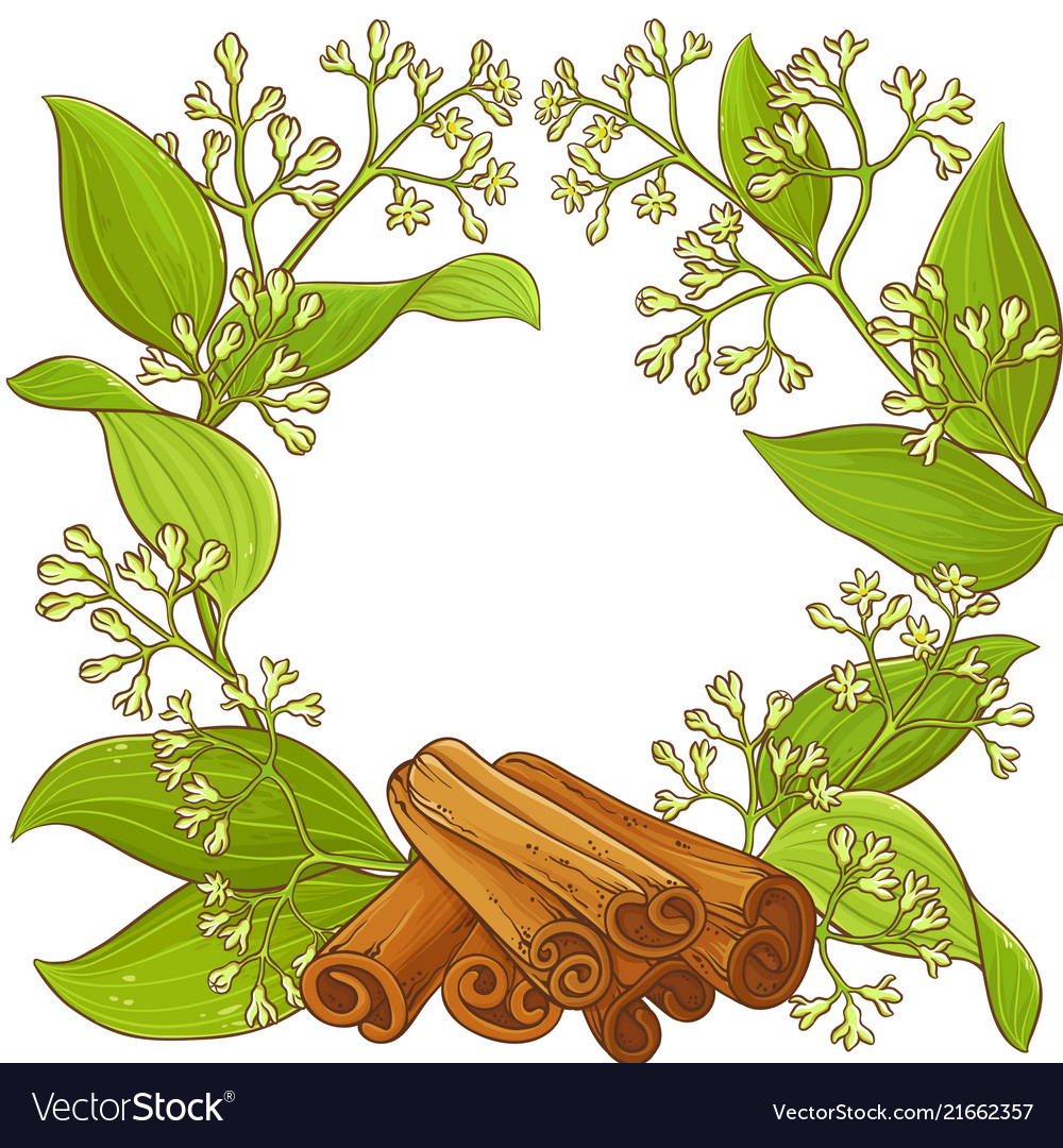 Cinnamon Frame Royalty Free Vector Image Vectorstock