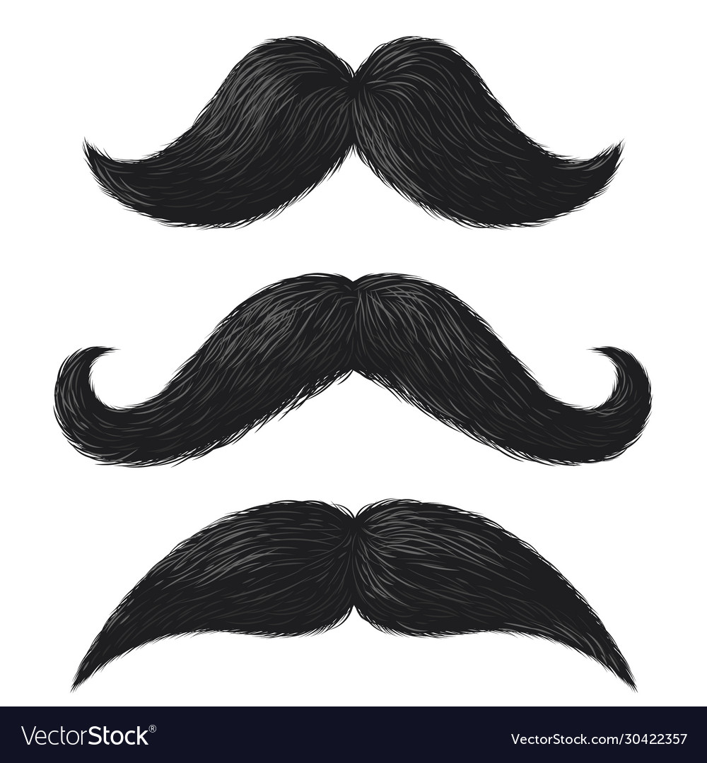 Realistic moustaches black mustache facial hair Vector Image