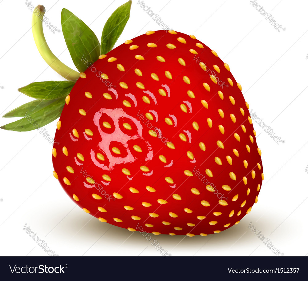 Strawberry Royalty Free Vector Image - VectorStock