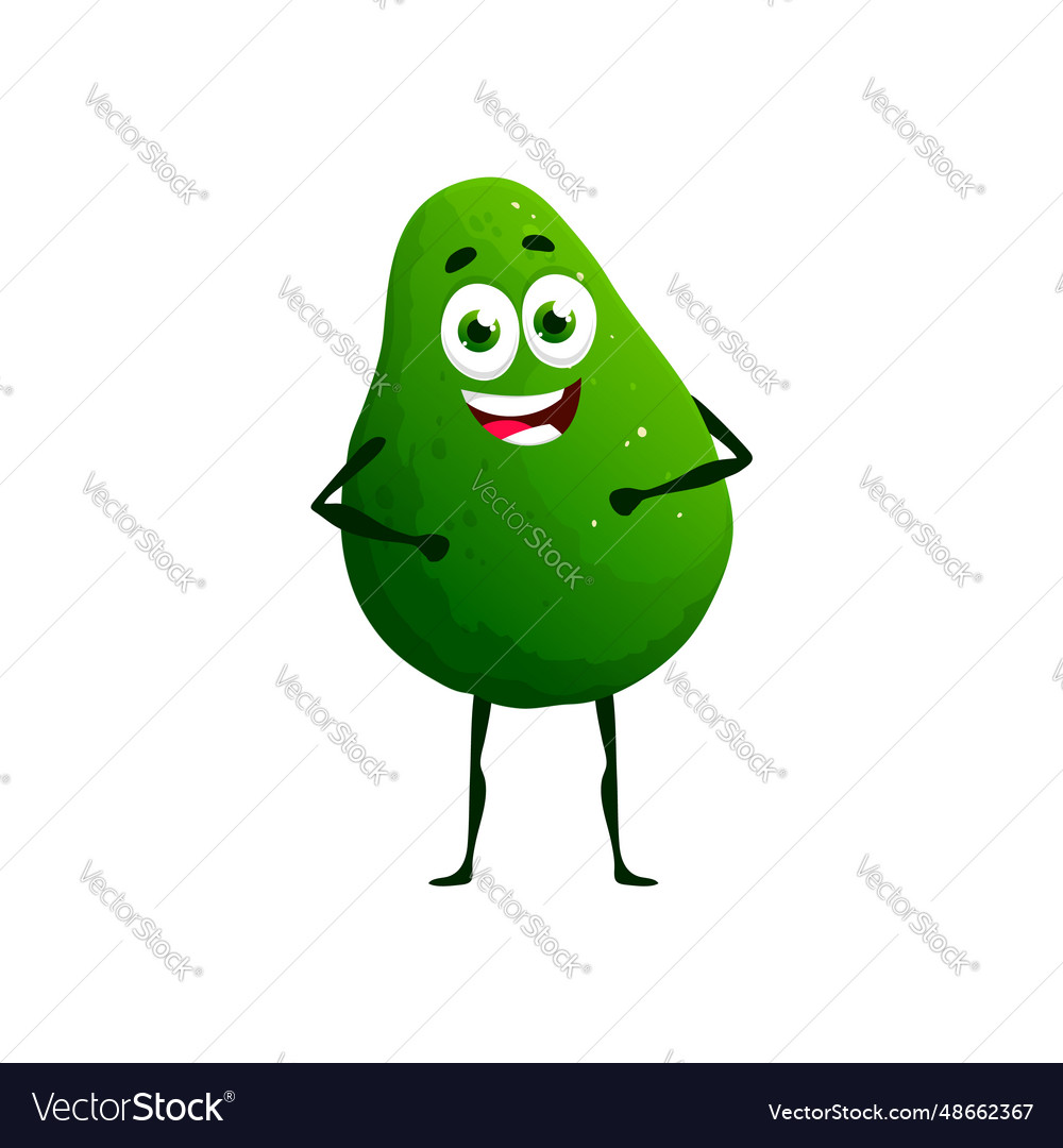 Avocado Cartoon Keto Diet Food Funny Character Vector Image