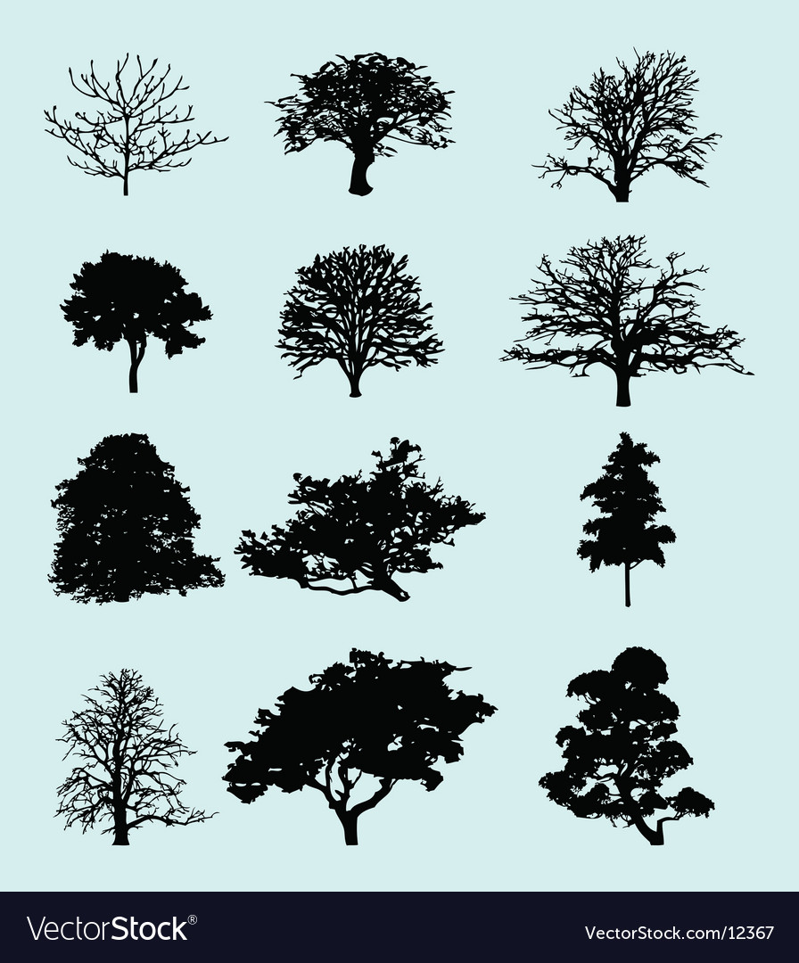 Tree silhouettes Royalty Free Vector Image - VectorStock