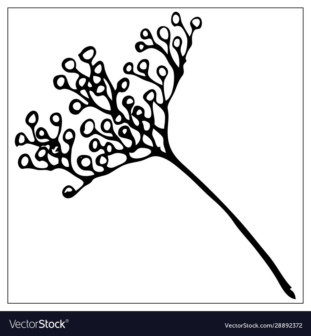 Black and white silhouette a blade grass Vector Image