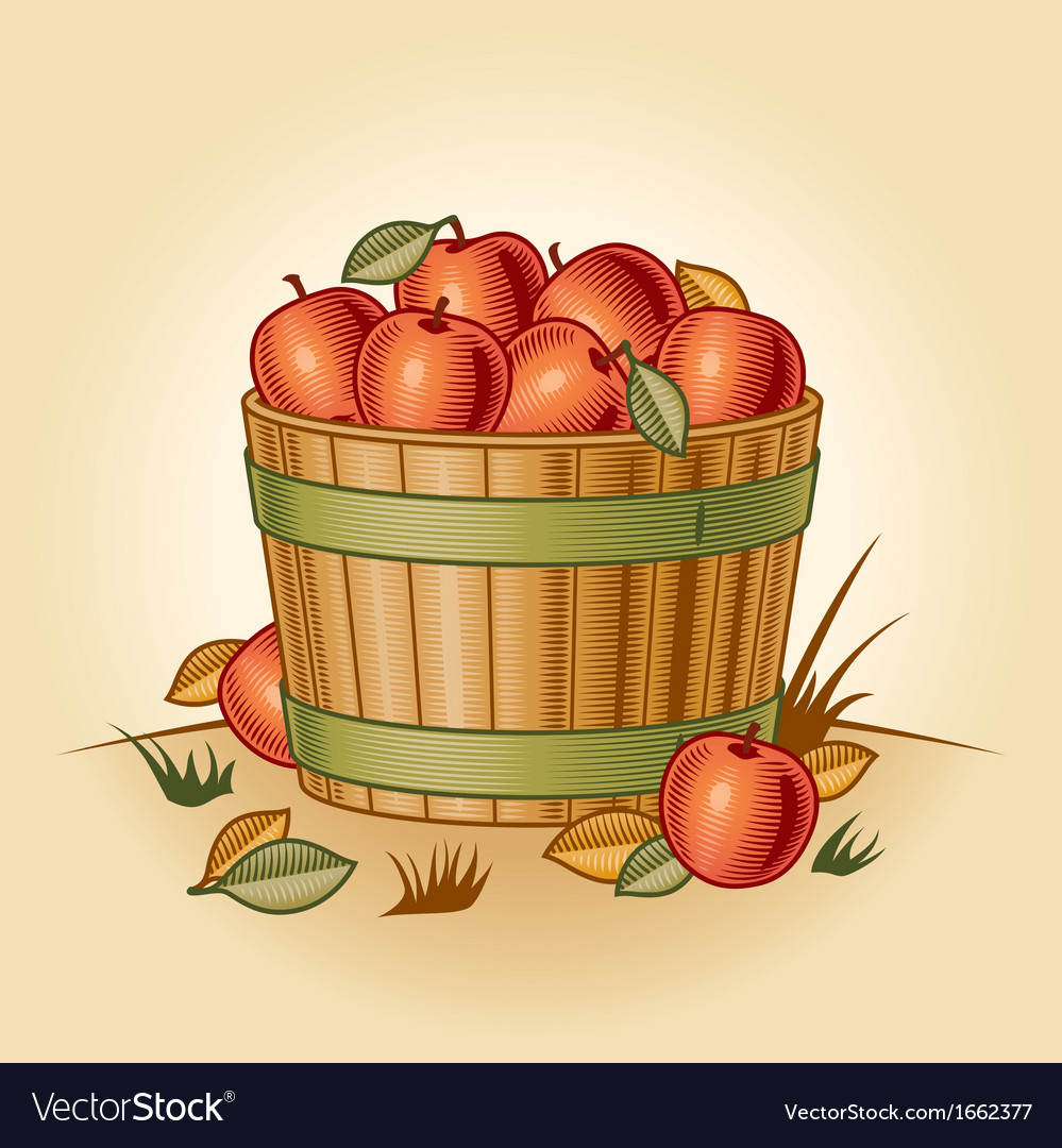 retro-bushel-of-apples-royalty-free-vector-image