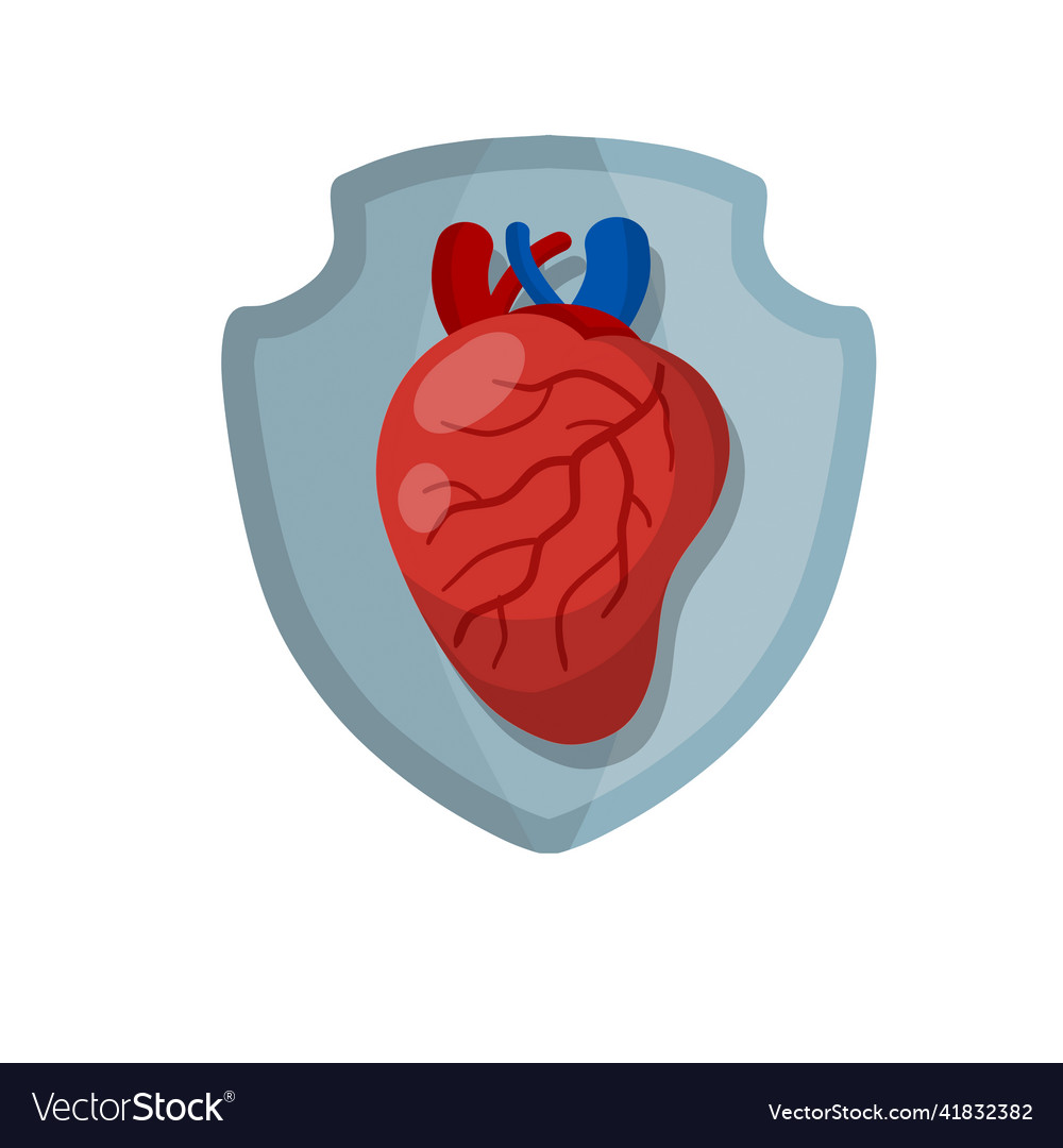 Heart human internal organ Royalty Free Vector Image