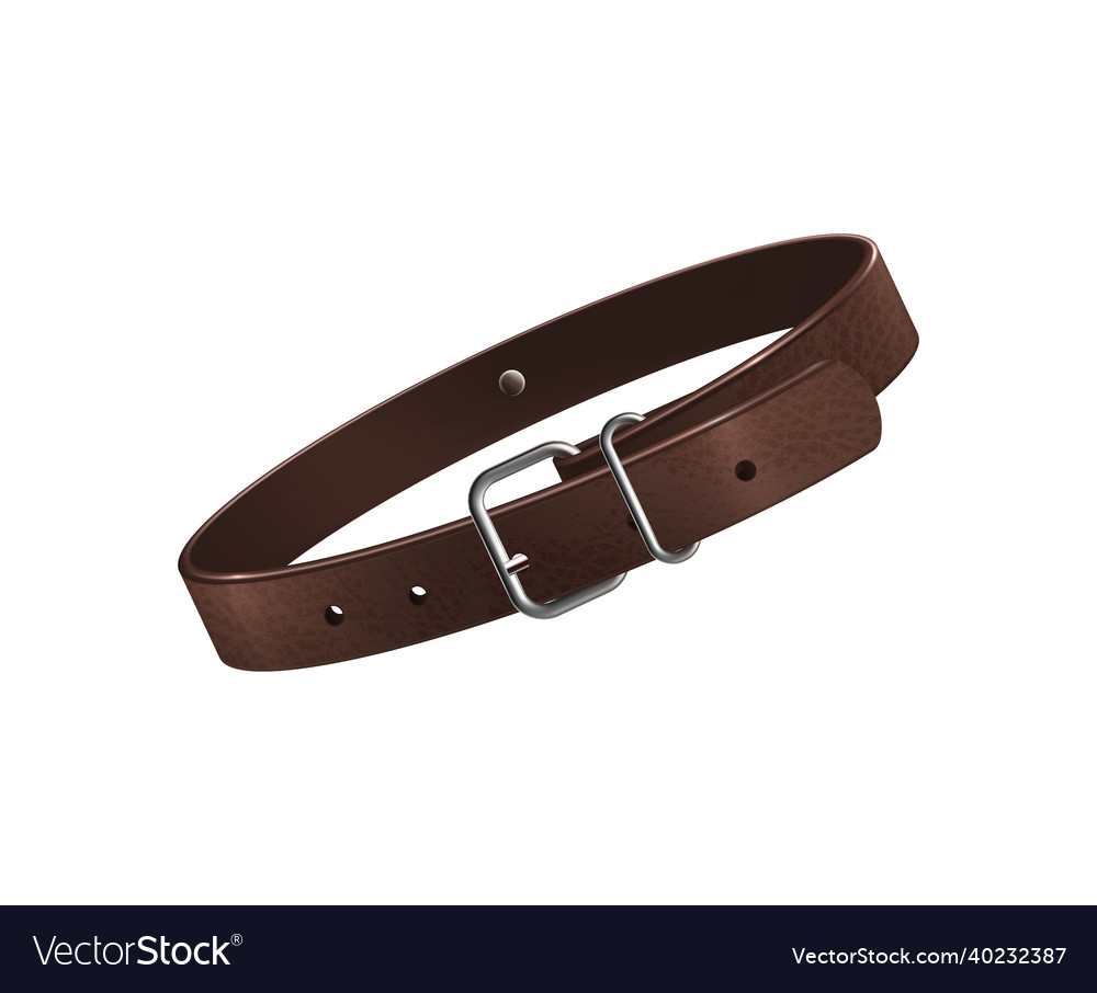 Dogs belt realistic composition Royalty Free Vector Image