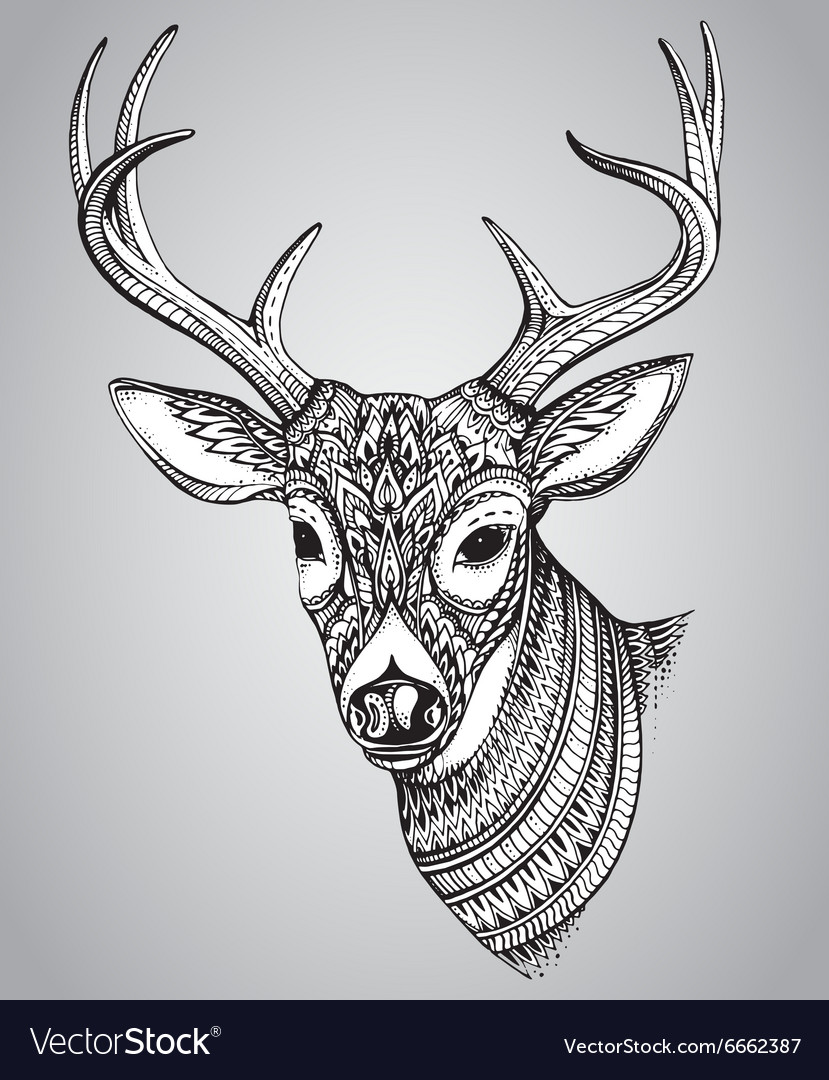 Hand drawn horned deer with high details ornament Vector Image Hand drawn horned deer with high details ornament Vector Image