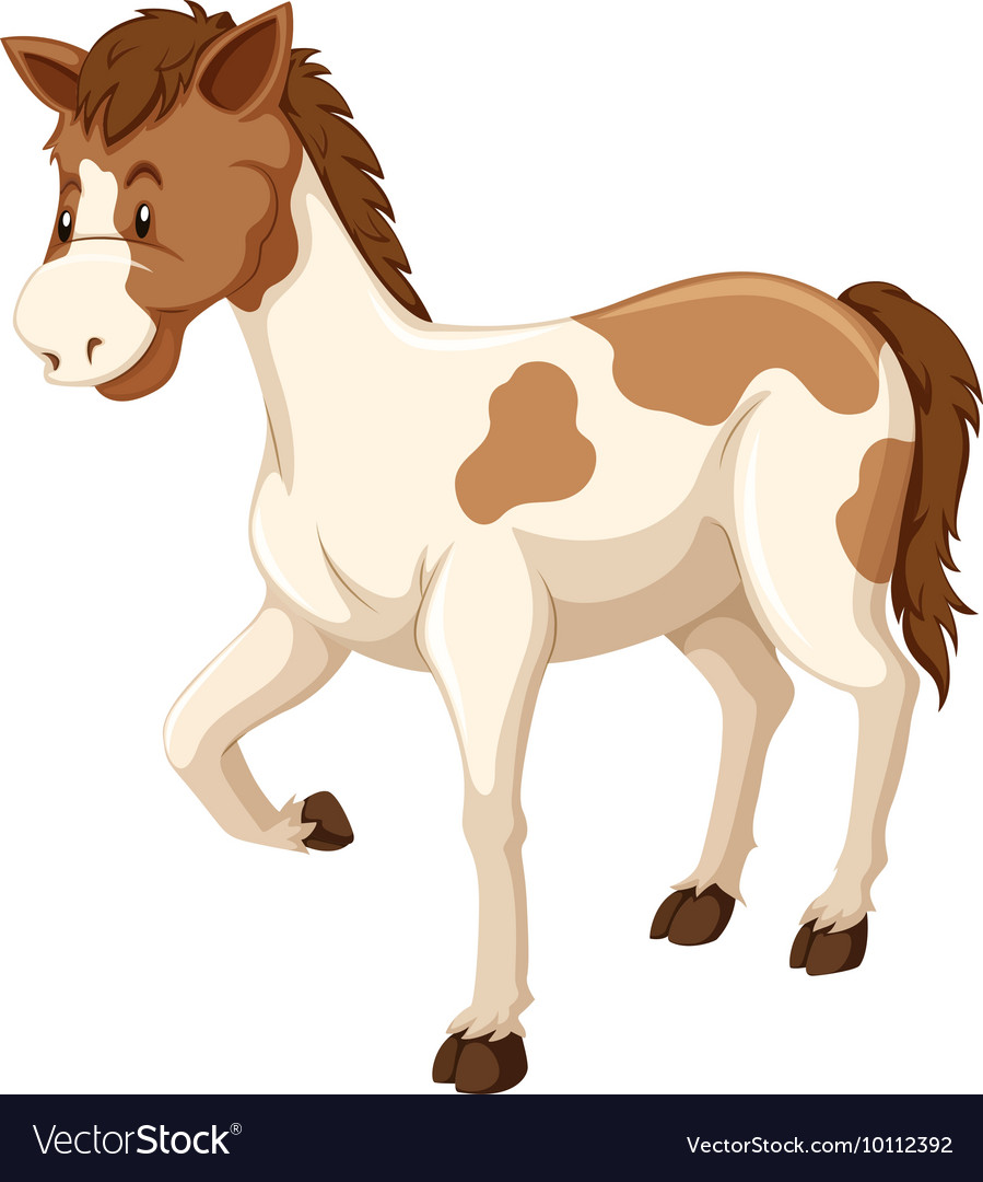 Horse With Brown And White Fur Royalty Free Vector Image
