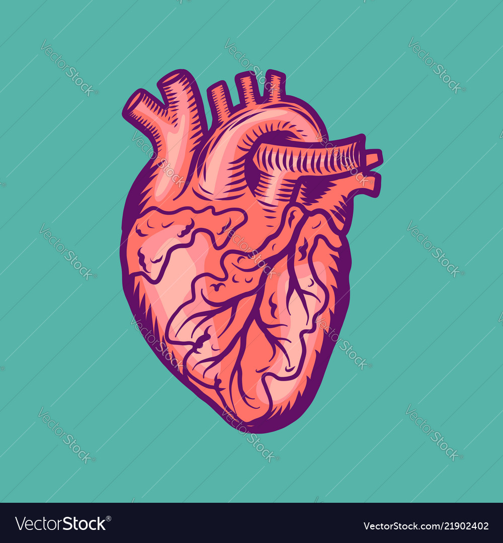 Tattoo human heart icon hand drawn style Vector Image