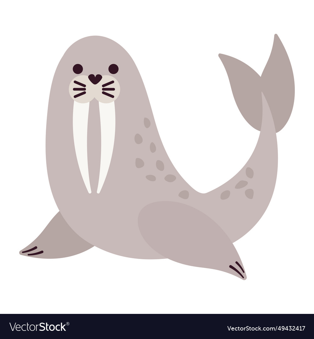 Arctic animal walrus Royalty Free Vector Image