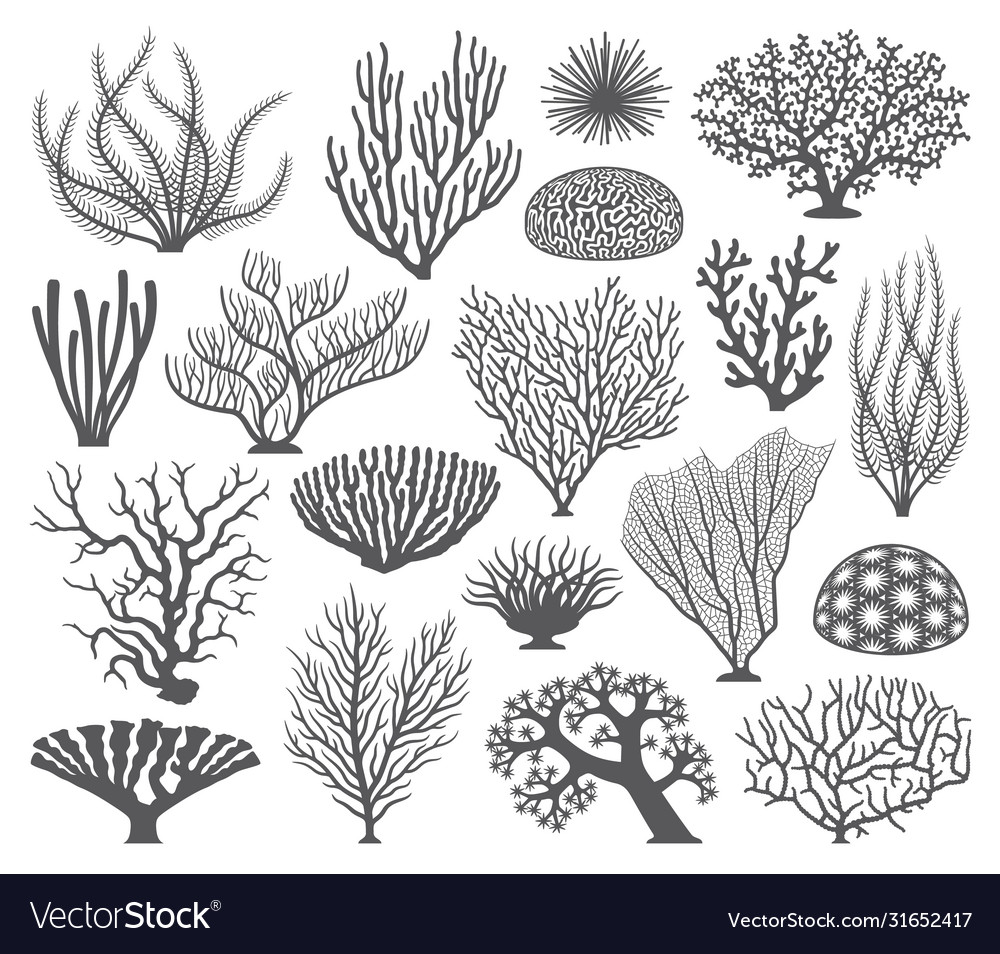 Coral formations silhouettes Royalty Free Vector Image