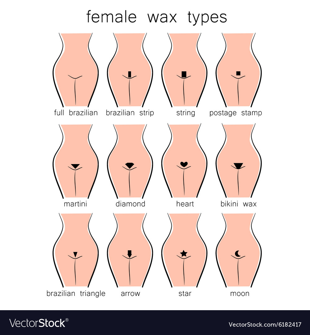 Female wax types Royalty Free Vector Image - VectorStock