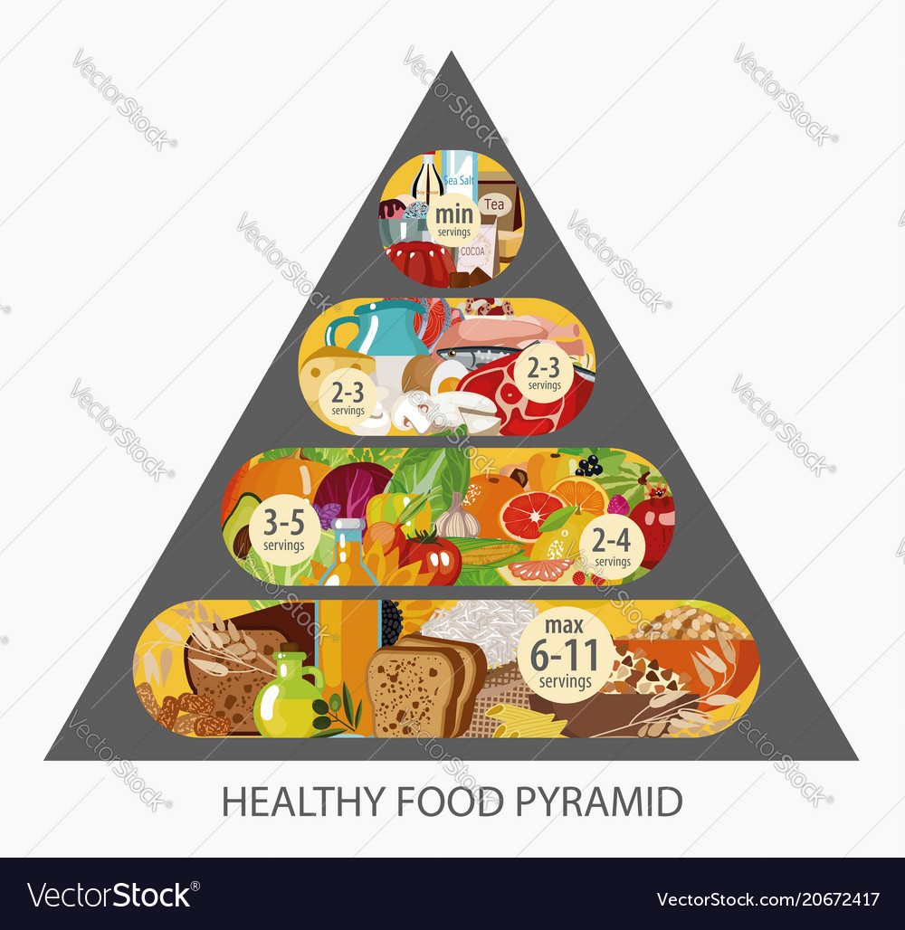 Food pyramid Royalty Free Vector Image - VectorStock