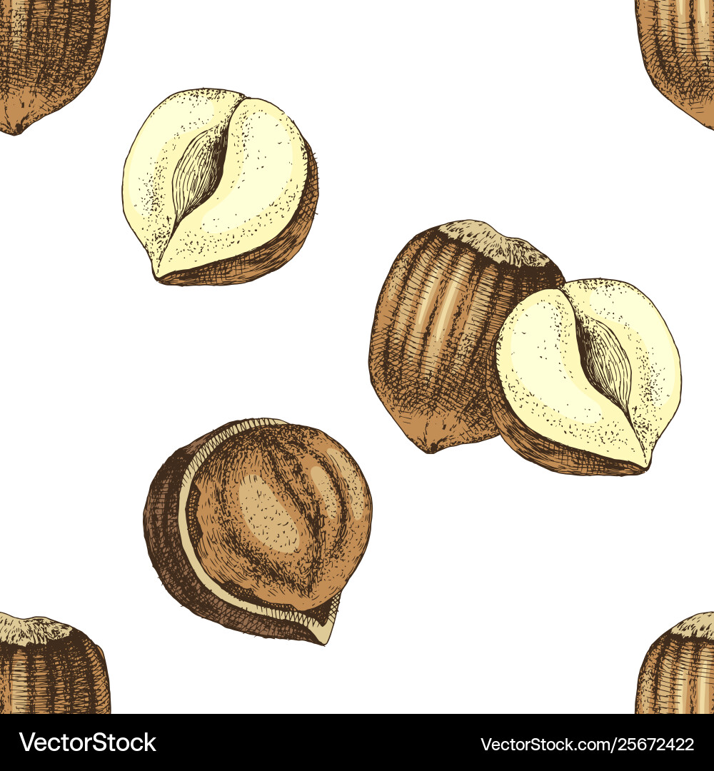 Seamless pattern with hand drawn hazelnuts Vector Image