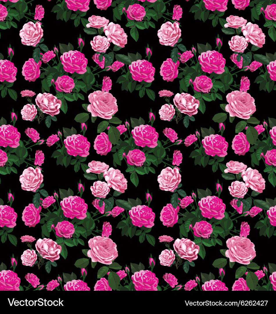 Rose Royalty Free Vector Image - VectorStock