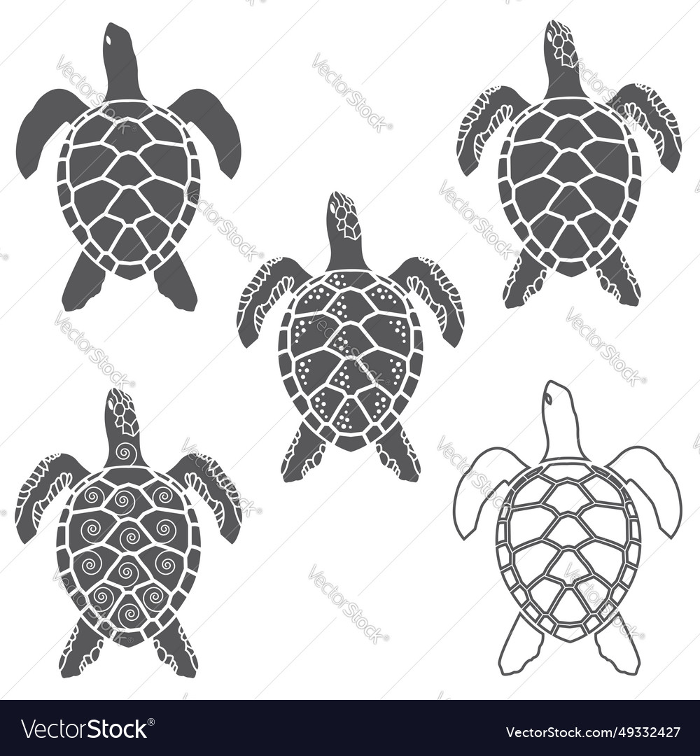 Sea turtle icons set Royalty Free Vector Image