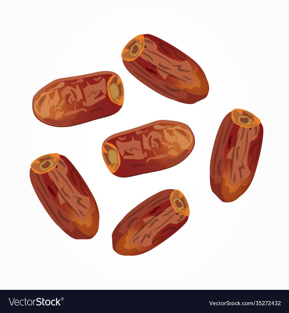 Dried dates isolated on white background ramadan Vector Image