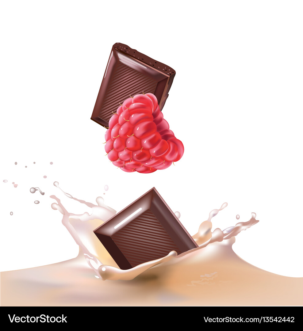 Chocolate raspberries and milk Royalty Free Vector Image