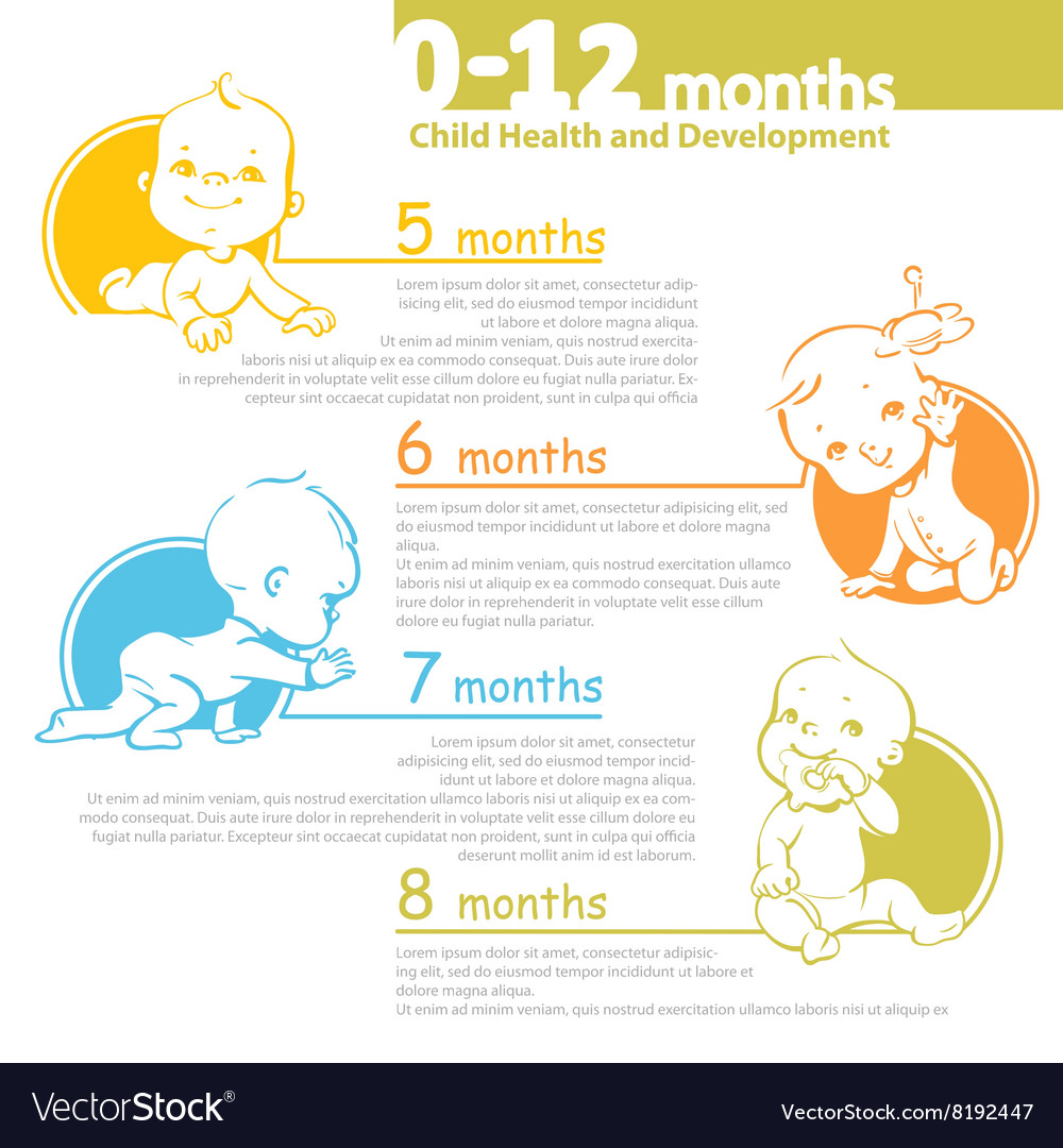 Baby growing up infographic Royalty Free Vector Image