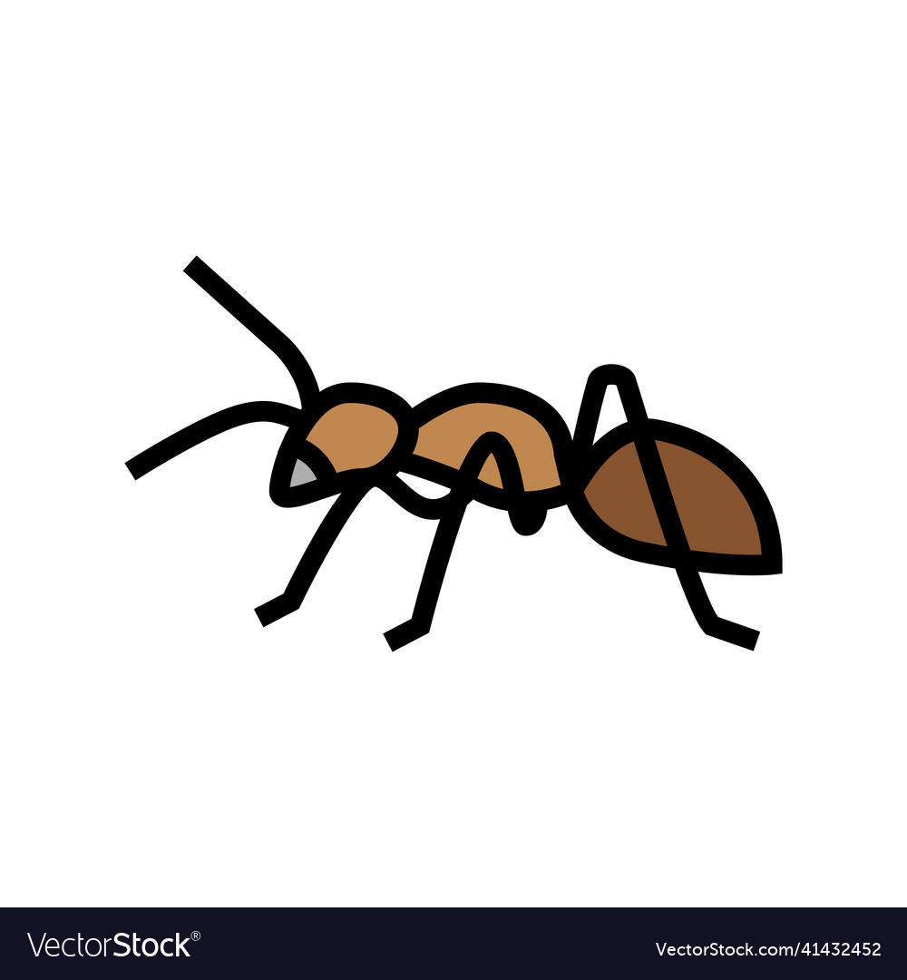 Ant insect color icon