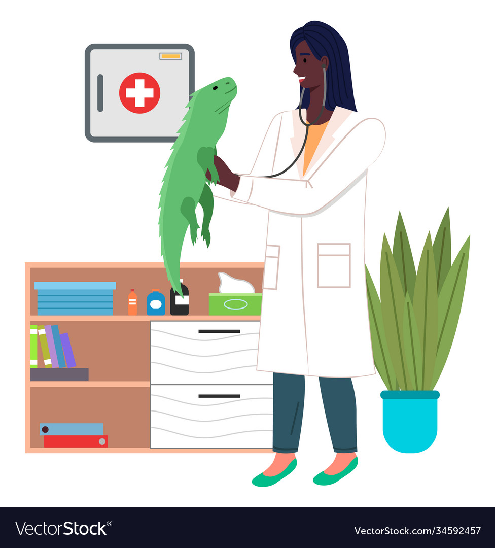 Lizard veterinarian best sale