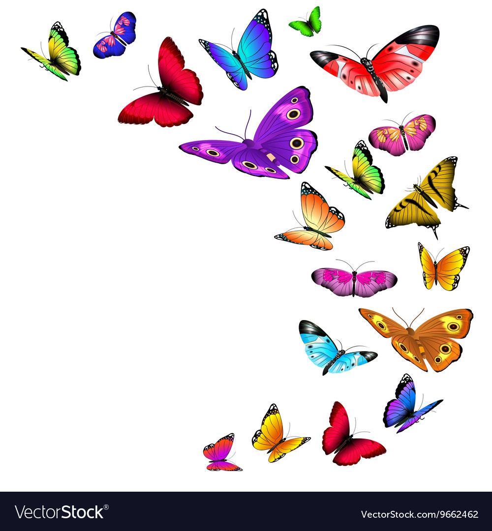 Background with flying butterflies Royalty Free Vector Image