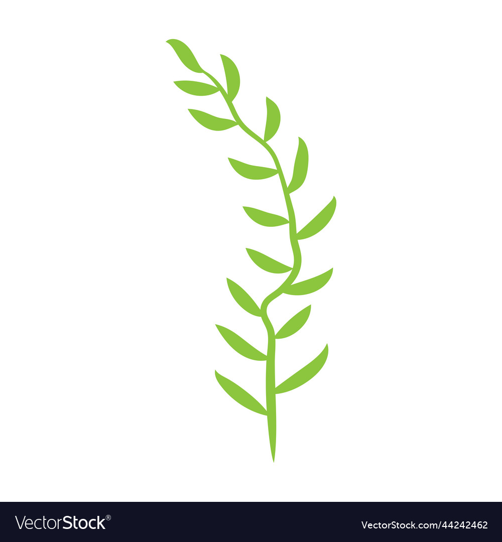 Green leafy plant with decorative art isolated Vector Image