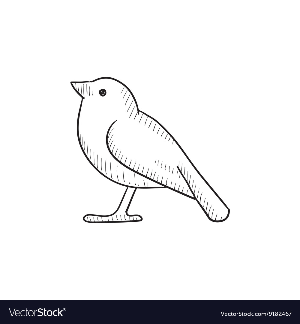 Bird sketch icon Royalty Free Vector Image - VectorStock