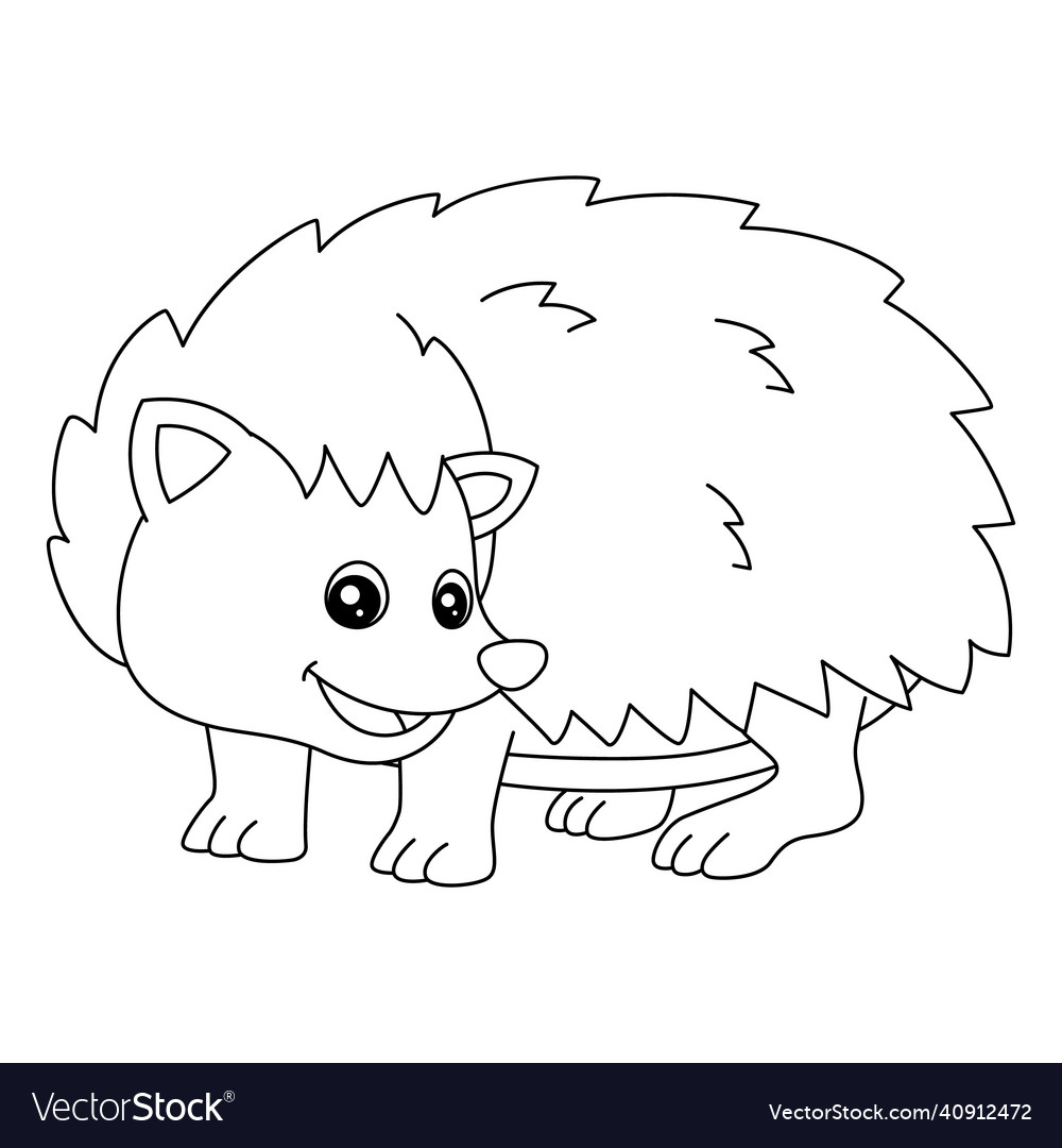 Hedgehog coloring page isolated for kids Vector Image