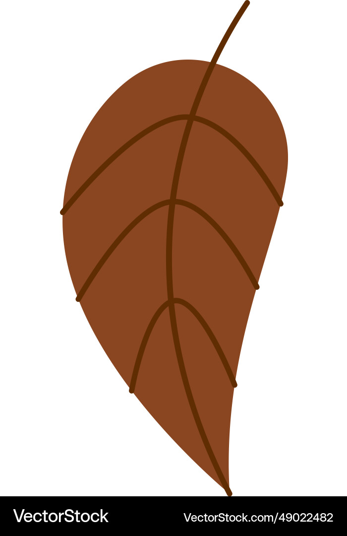 Autumn tree leaf Royalty Free Vector Image - VectorStock