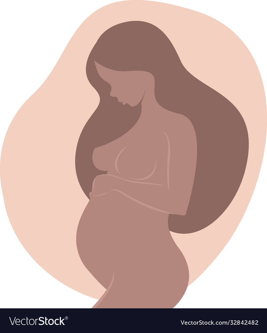Female expecting a child drawing vector image Female expecting a child drawing
