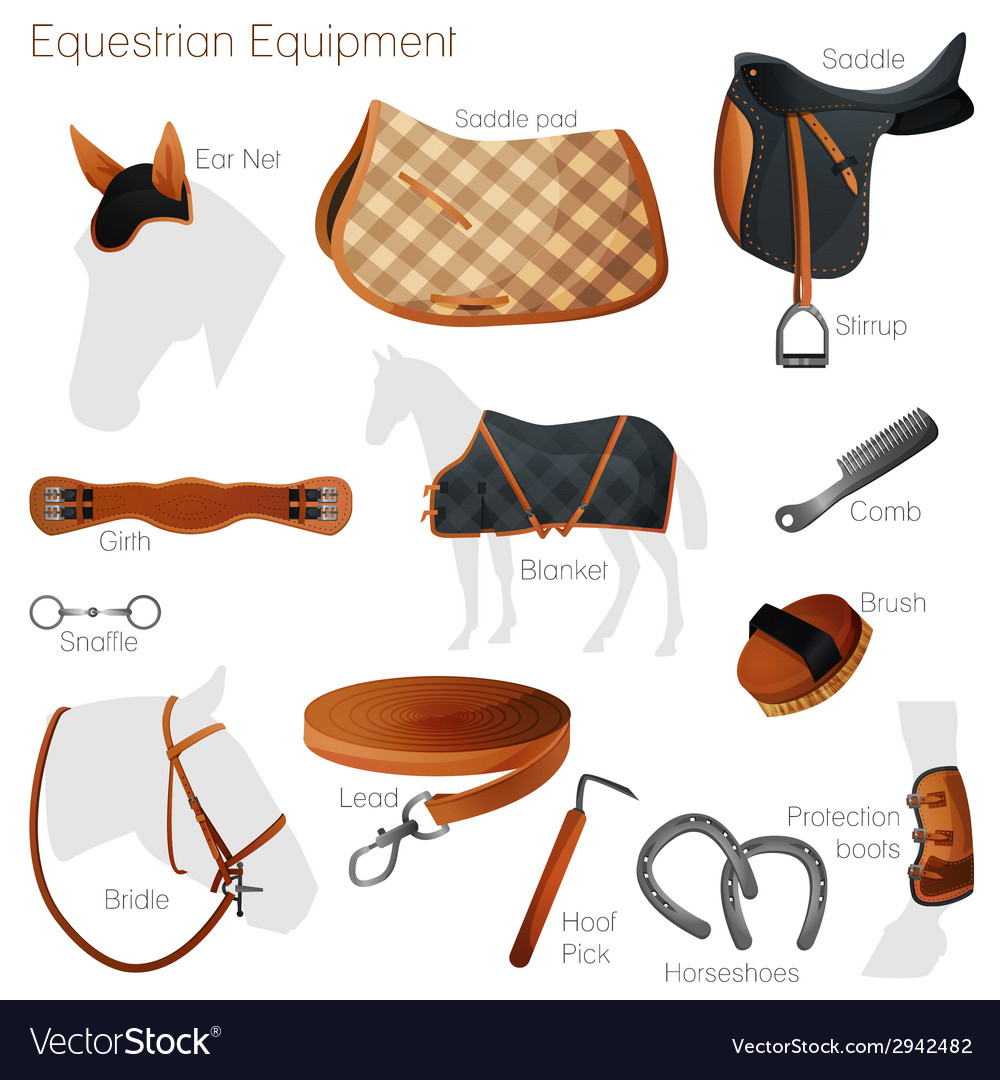 Equestrian supplies on sale