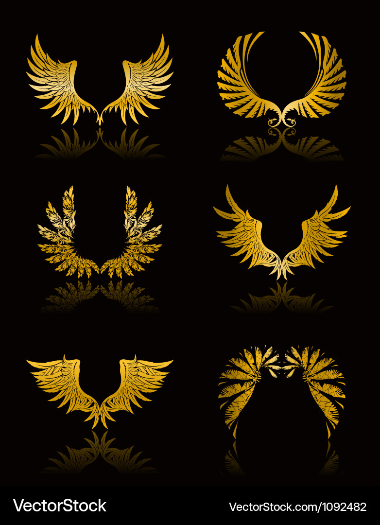 Set of wings Royalty Free Vector Image - VectorStock