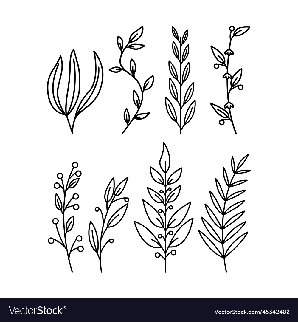 Tropical leaves plants doodle Royalty Free Vector Image