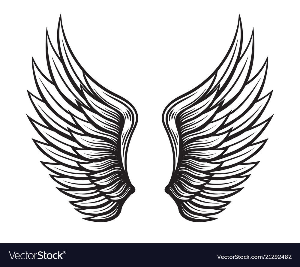 Wings set hand drawn detailed wings collection Vector Image Wings set hand drawn detailed wings collection vector image on... 