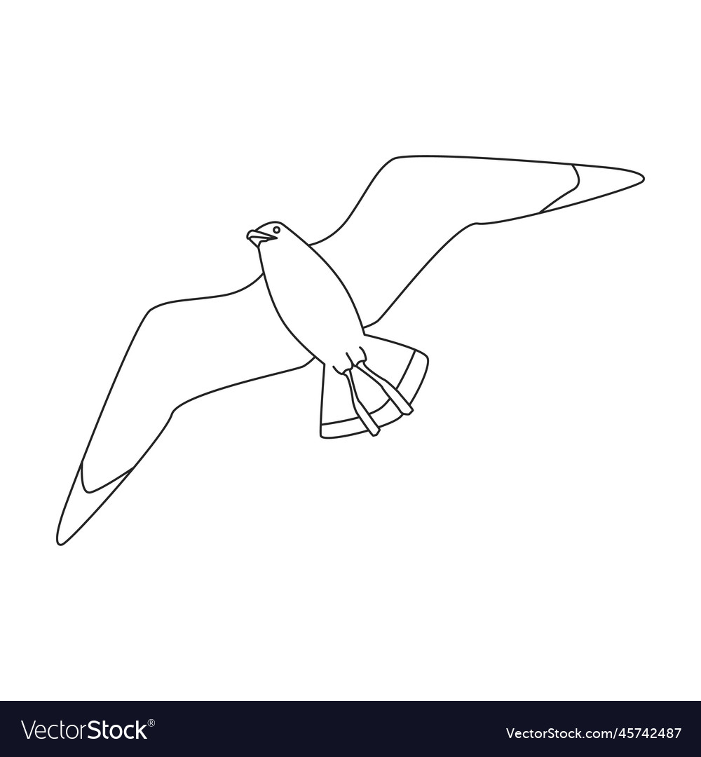 Bird gull iconoutline logo isolated Royalty Free Vector