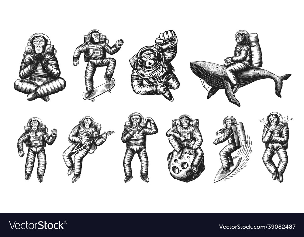 Monkey astronaut with whale guitar skateboard vector image Monkey astronaut with whale guitar skateboard