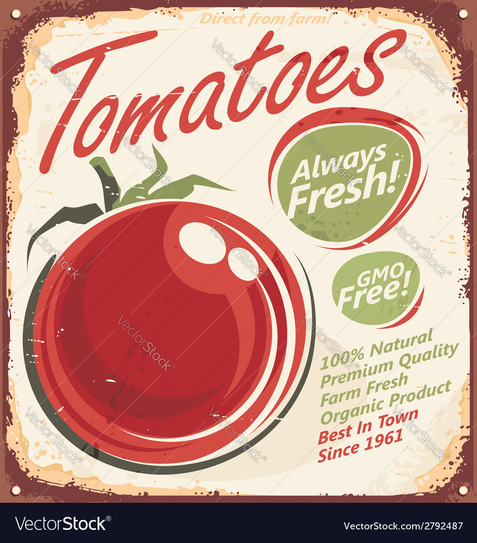 Tomato Royalty Free Vector Image - VectorStock