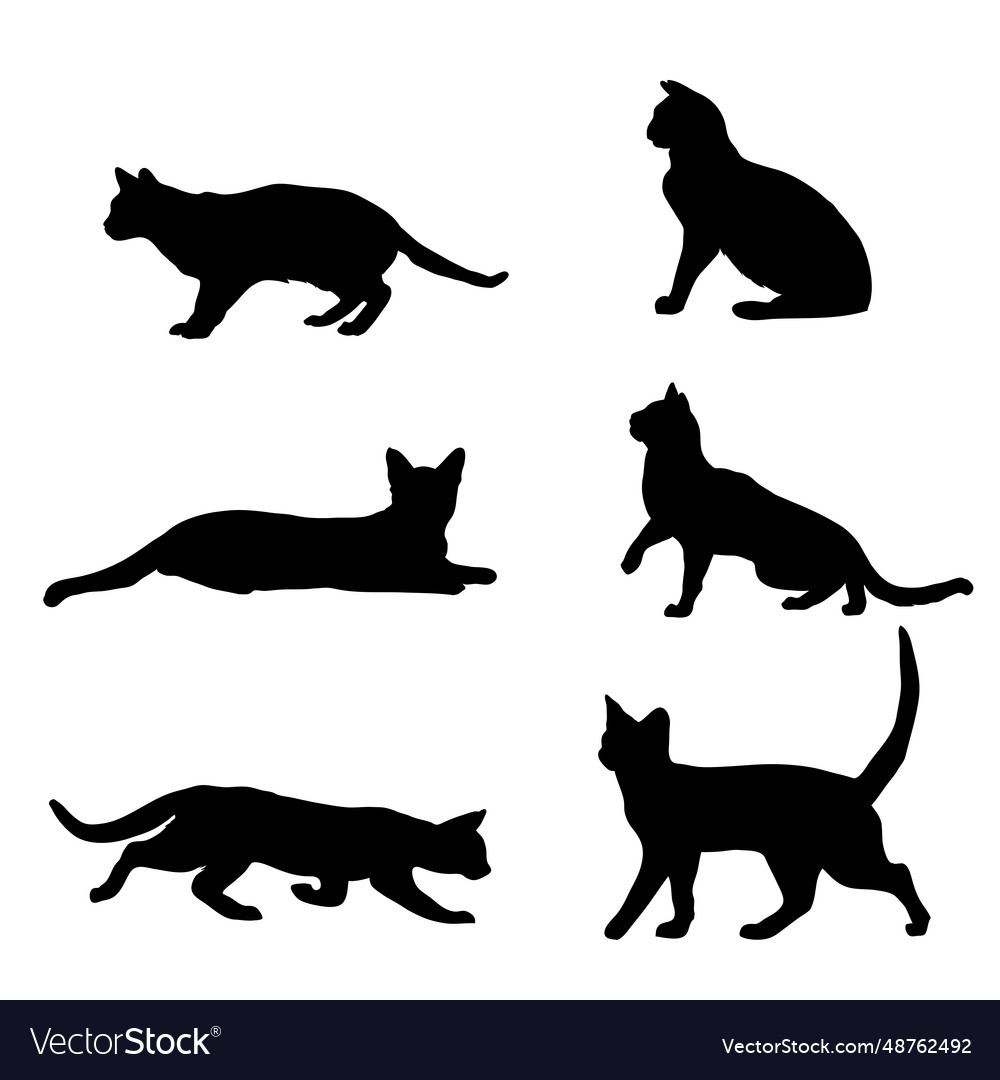 Set of cats in different poses Royalty Free Vector Image