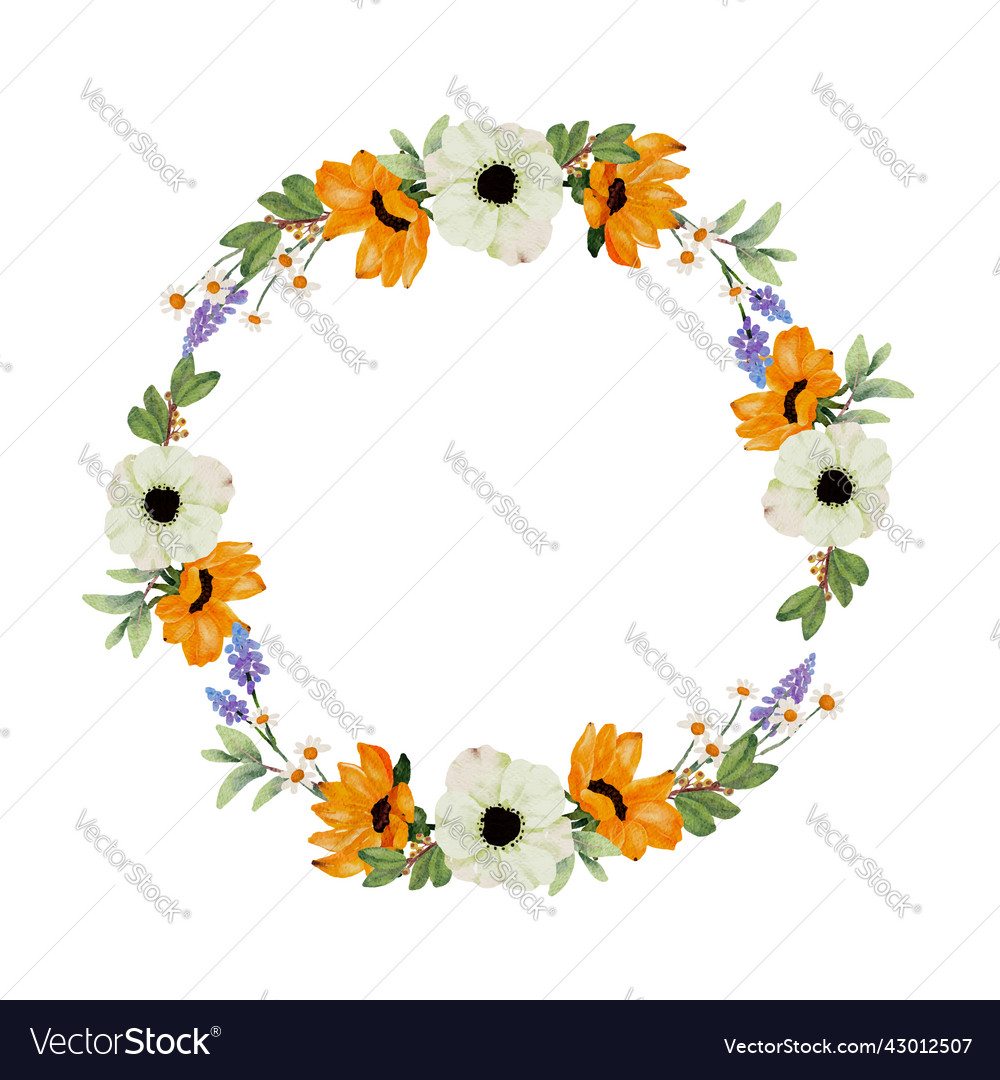 Watercolor yellow sunflower and white anemone vector image Watercolor yellow sunflower and white anemone