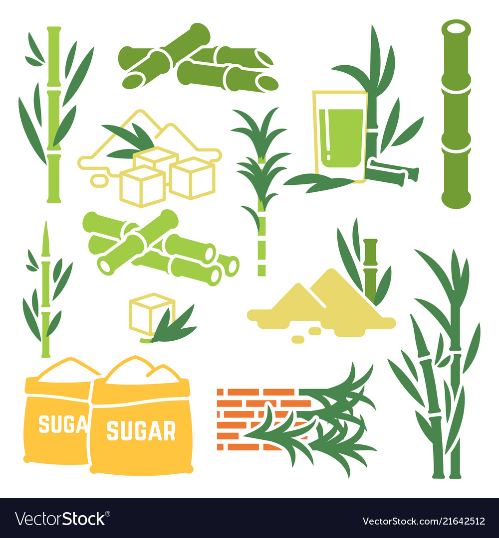 Sugar cane sugarcane plant harvest icons Vector Image