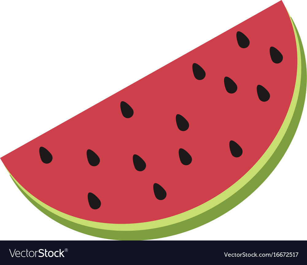 Delicious watermelon fruit Royalty Free Vector Image