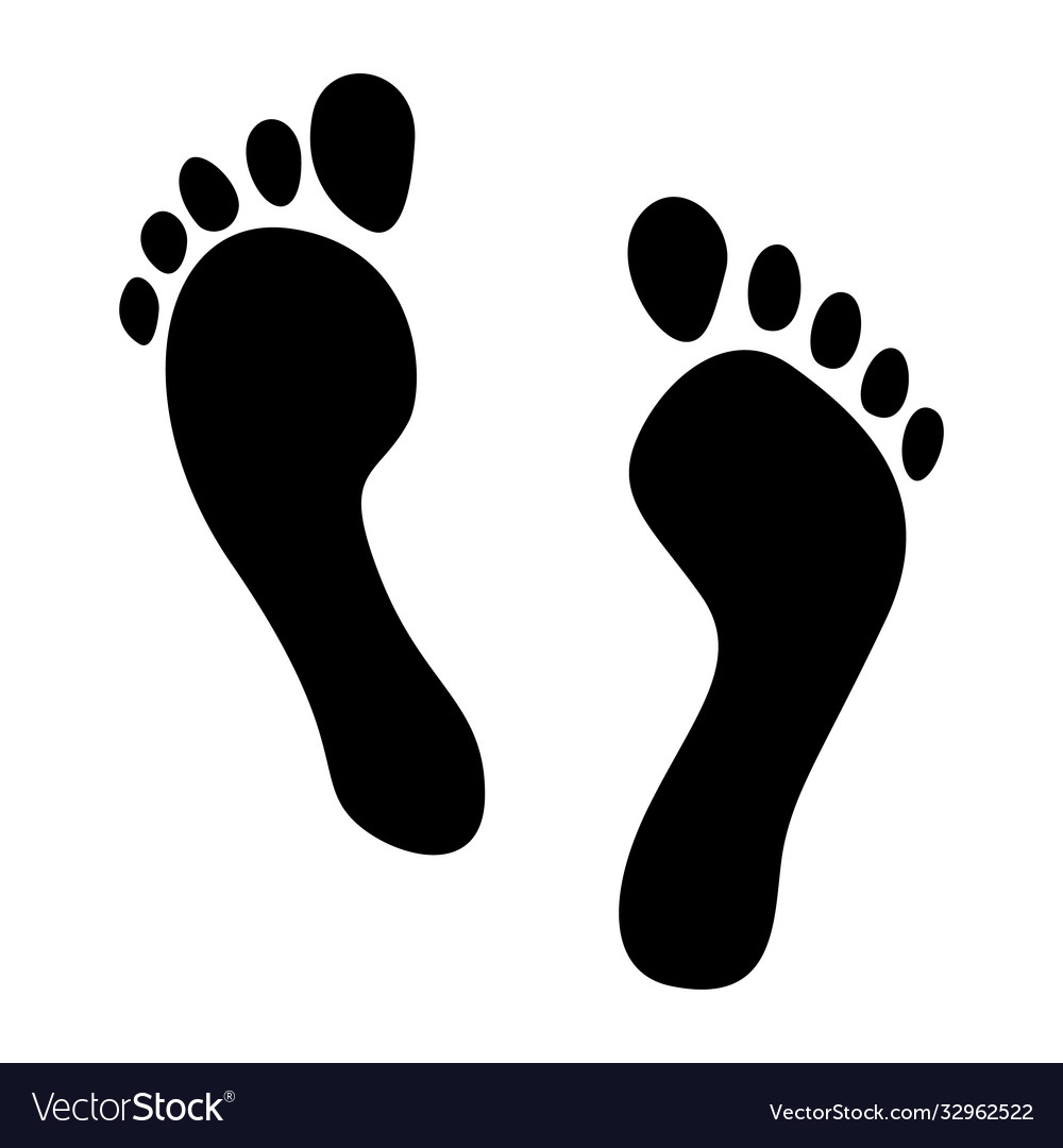 Human foot prints on a white isolated background Vector Image