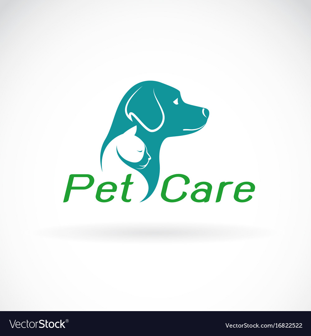 Pet care shop design on white background dog Vector Image Pet care shop design on white background dog Vector Image