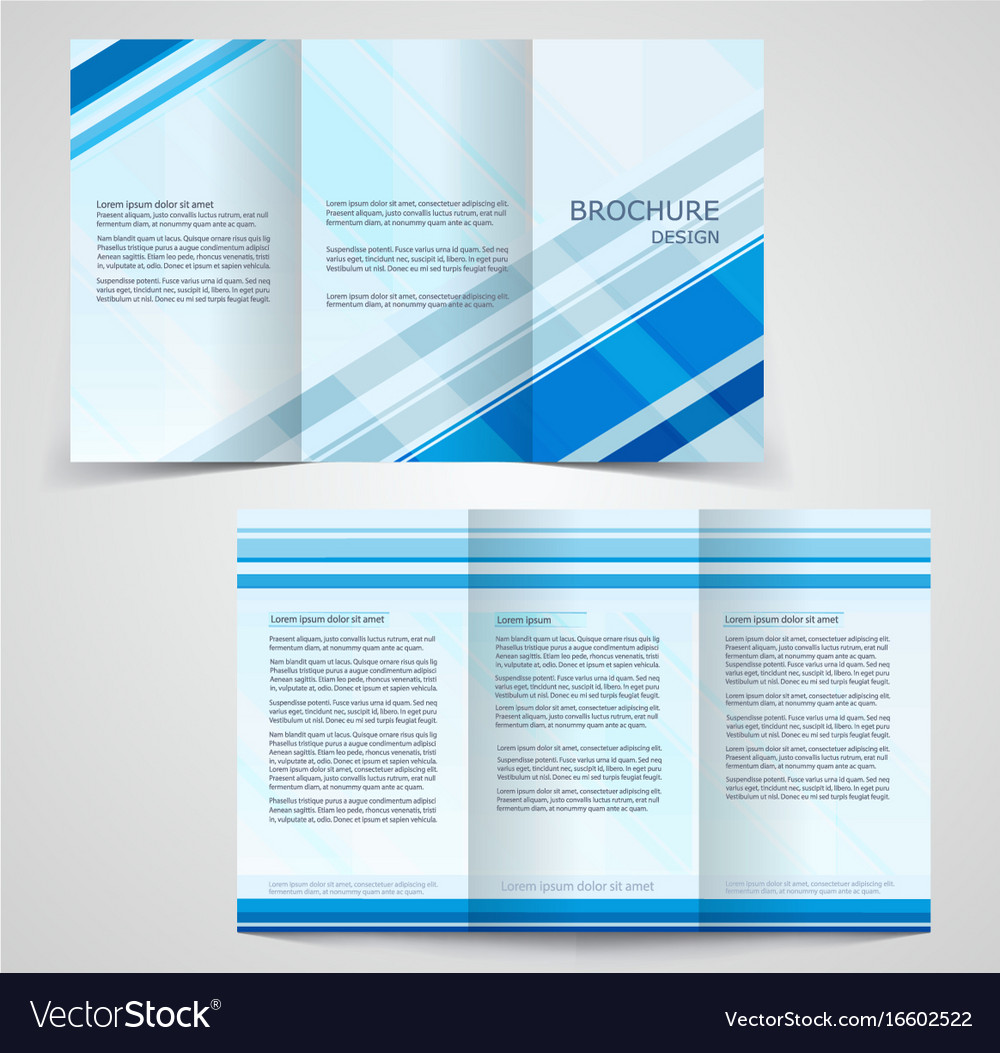 Tri fold business brochure template two sided Vector Image