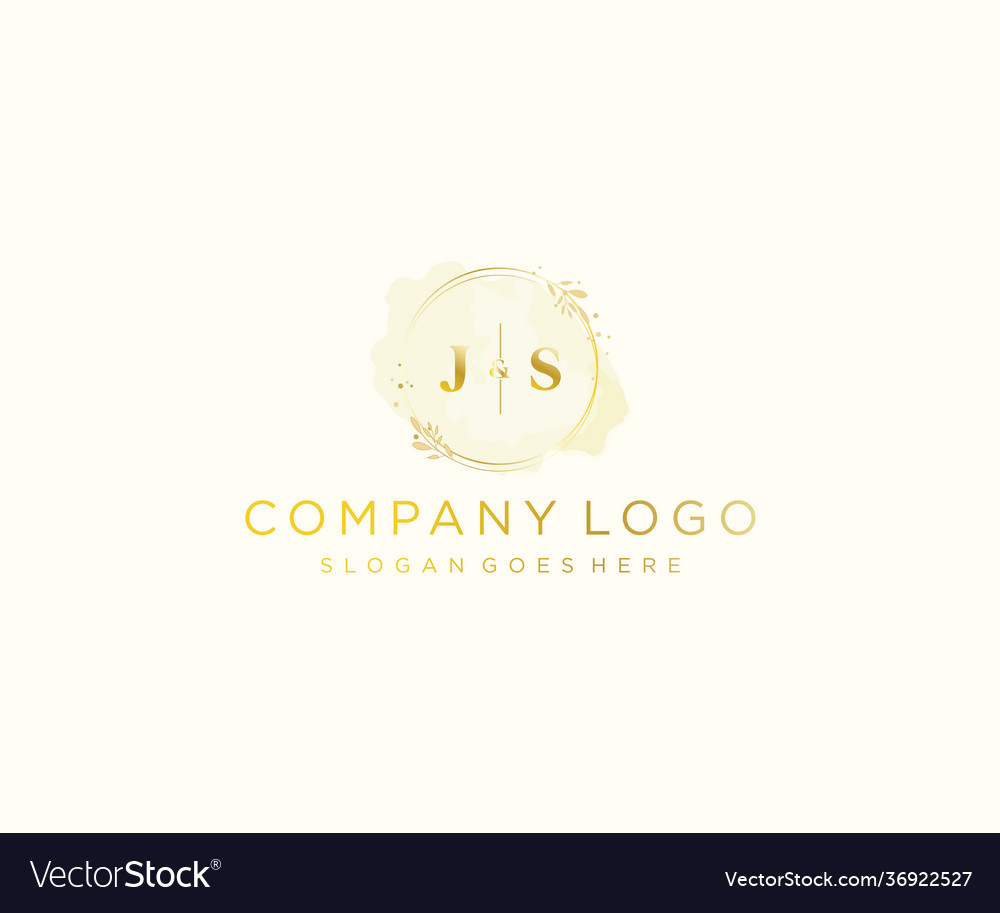 Initial js letters colorful watercolor splash Vector Image
